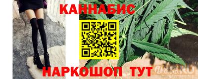 крисы Нальчик