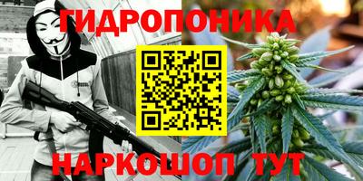 крисы Нальчик