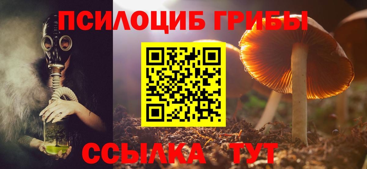 Псилоцибиновые грибы Psilocybine cubensis Тамбов