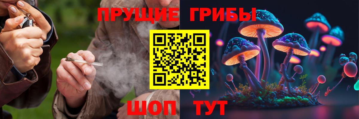 Псилоцибиновые грибы Psilocybe  Вход с VPN  Псилоцибиновые грибы ЛСД  Тамбов 